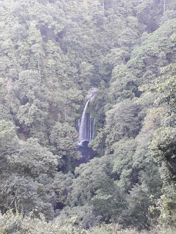 Ila Homestay Senaru Εξωτερικό φωτογραφία